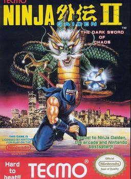 Ninja Gaiden 2